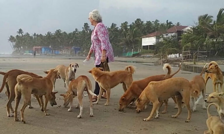Nafisa Ali Slams Supreme Court’s Stray Dog Removal Order