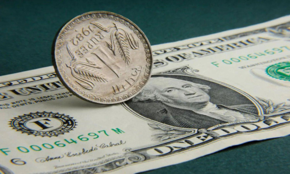 usd dollar